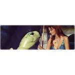 17-07-2014 - MCS_Marketing - Andrea Berg - banner.jpg